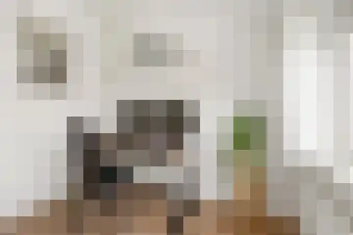 Alberdingk Thijmlaan 10 Heemstede thumbnail 34