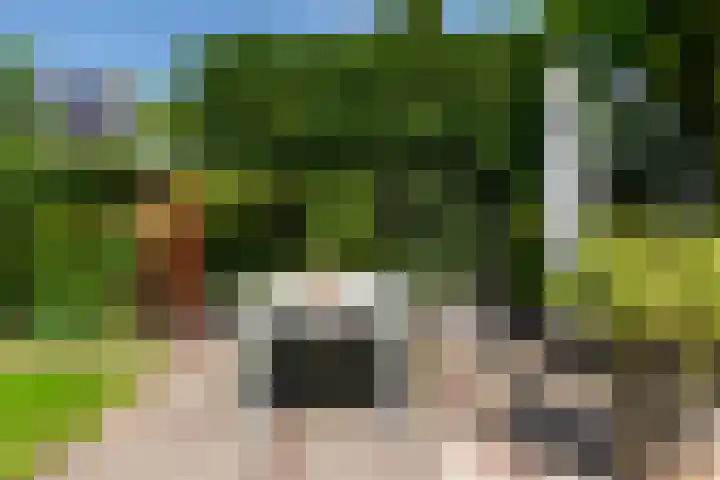 Alberdingk Thijmlaan 10 Heemstede thumbnail 40