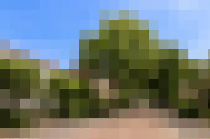 Alberdingk Thijmlaan 10 Heemstede thumbnail 41