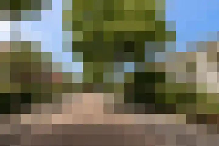 Alberdingk Thijmlaan 10 Heemstede thumbnail 42