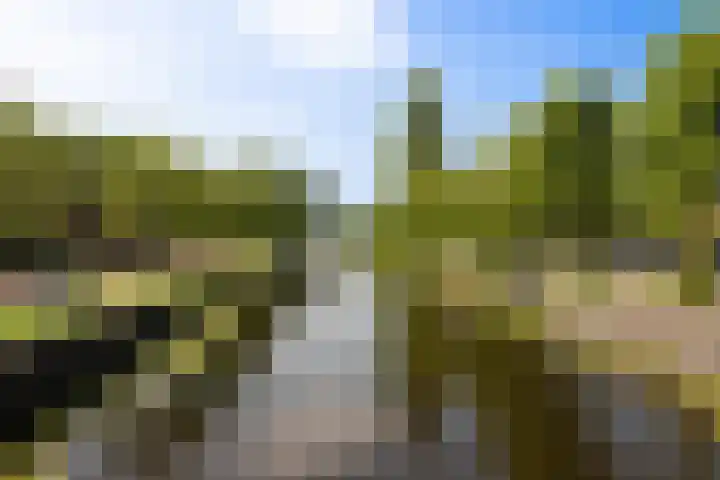 Alberdingk Thijmlaan 10 Heemstede thumbnail 44