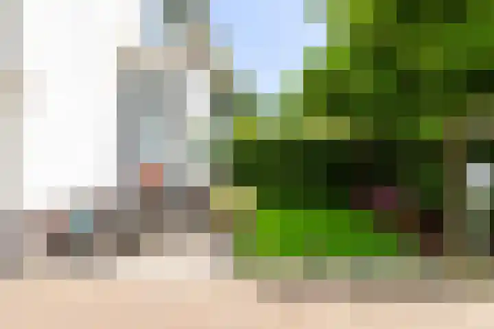 Alberdingk Thijmlaan 10 Heemstede thumbnail 6