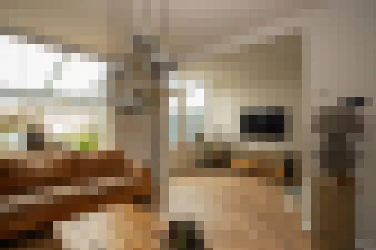 Alberdingk Thijmlaan 16 Bladel thumbnail 10