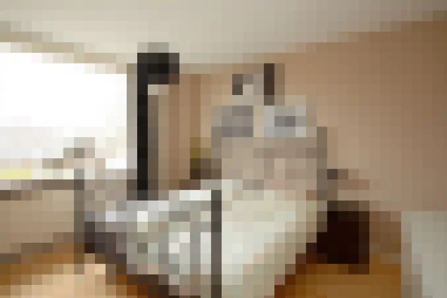 Alberdingk Thijmlaan 16 Bladel thumbnail 15