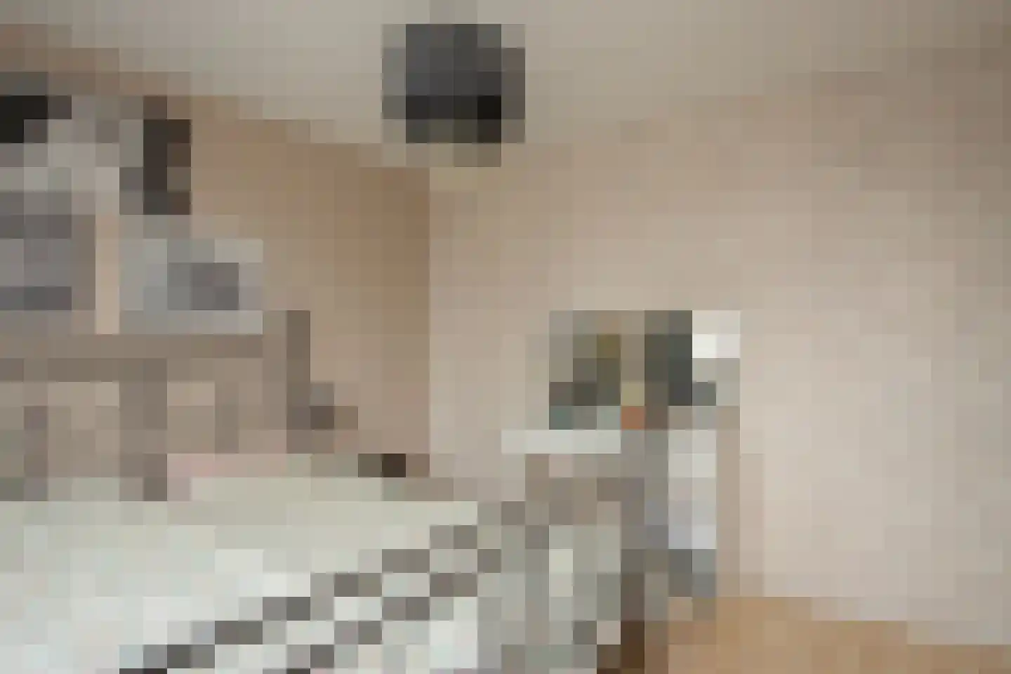 Alberdingk Thijmlaan 16 Bladel thumbnail 16