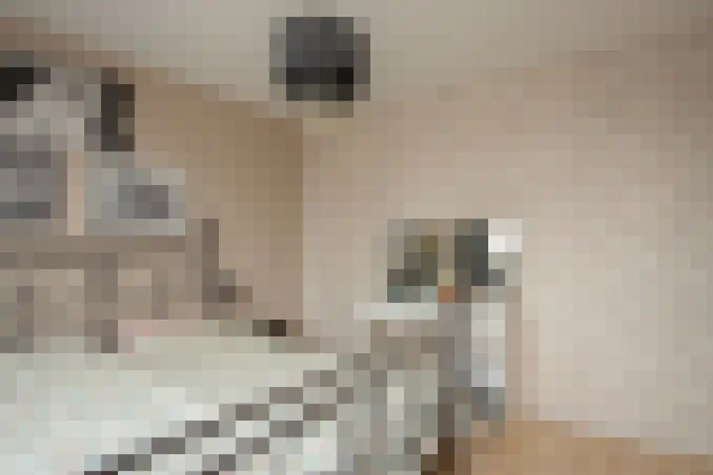 Alberdingk Thijmlaan 16 Bladel thumbnail 16