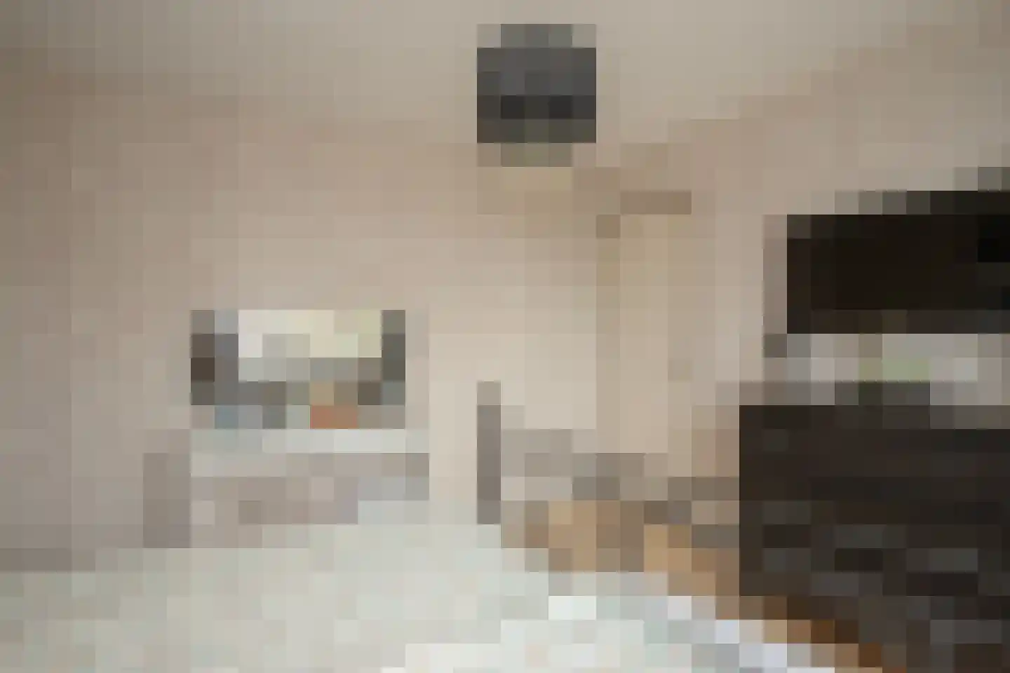 Alberdingk Thijmlaan 16 Bladel thumbnail 17
