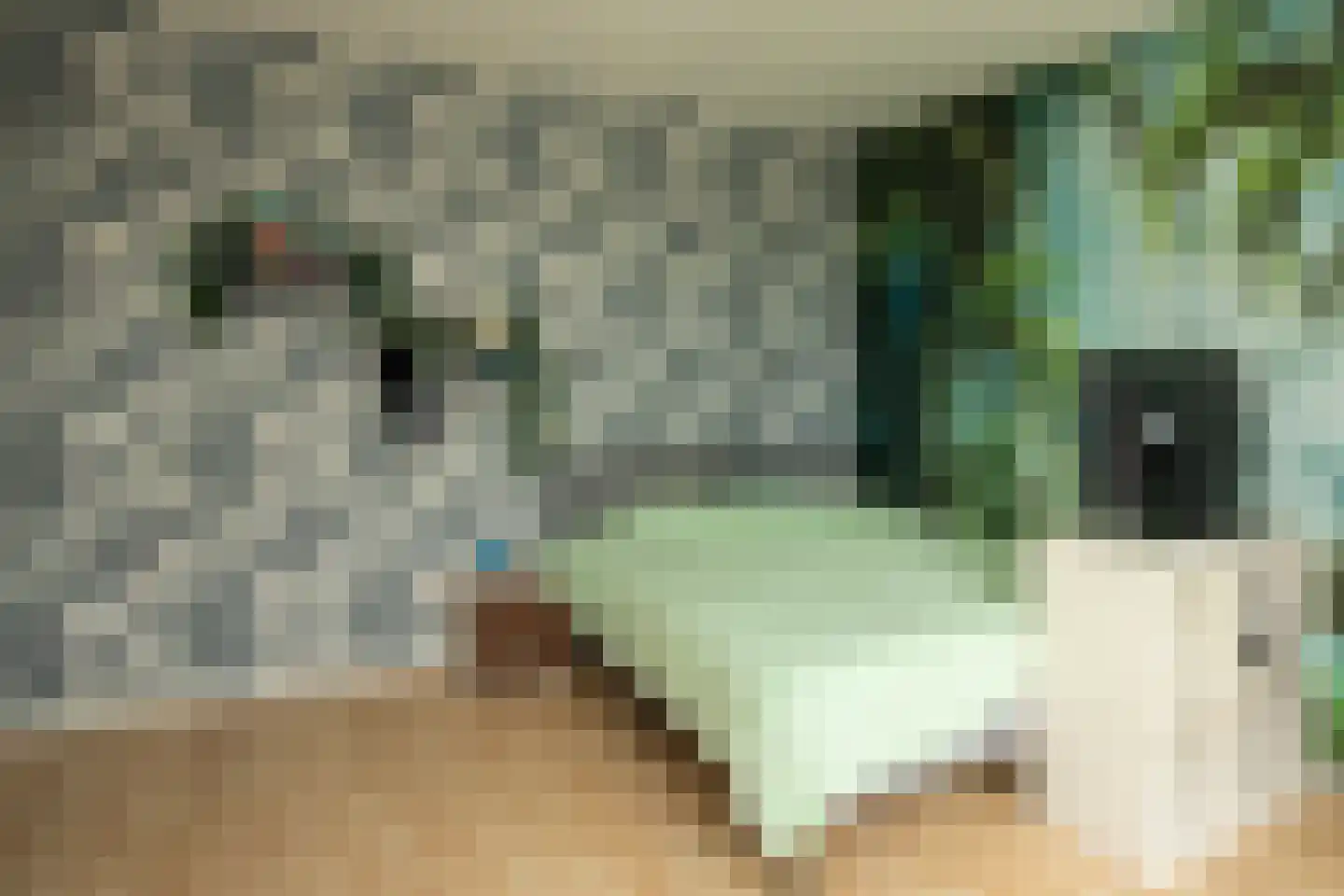 Alberdingk Thijmlaan 16 Bladel thumbnail 19