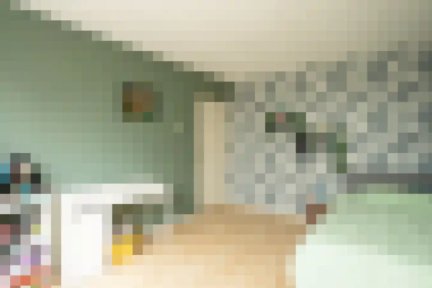Alberdingk Thijmlaan 16 Bladel thumbnail 20