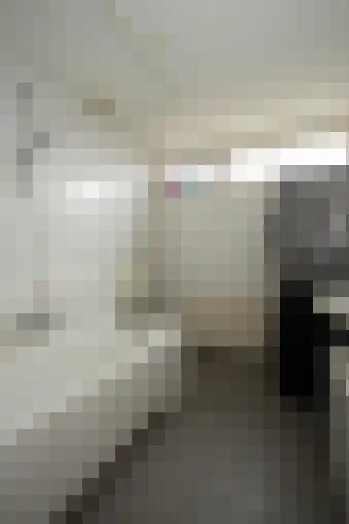 Alberdingk Thijmlaan 16 Bladel thumbnail 24