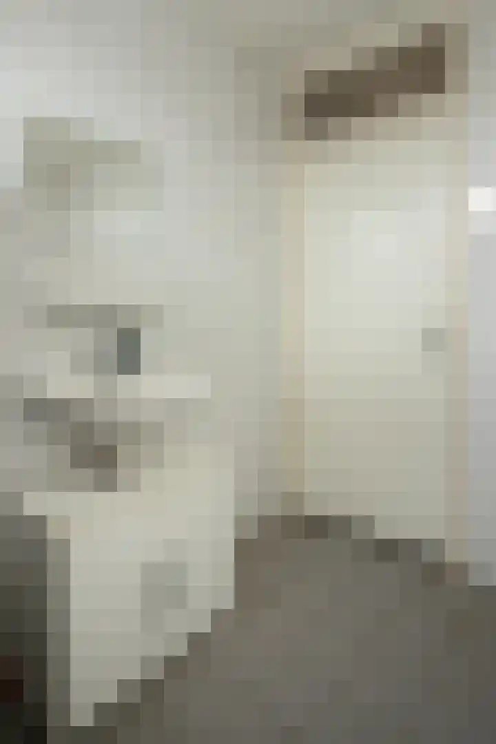 Alberdingk Thijmlaan 16 Bladel thumbnail 25