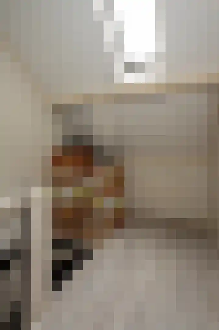 Alberdingk Thijmlaan 16 Bladel thumbnail 32