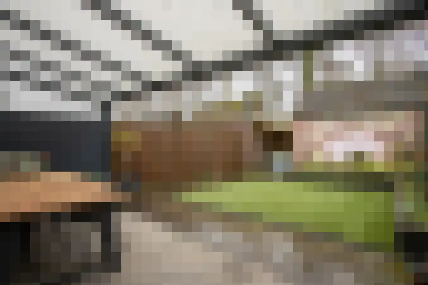 Alberdingk Thijmlaan 16 Bladel thumbnail 33
