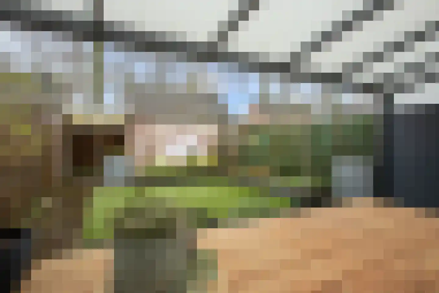 Alberdingk Thijmlaan 16 Bladel thumbnail 34
