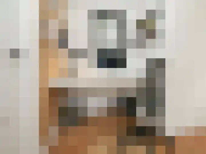 Alberdingk Thijmlaan 16 Heemstede thumbnail 26