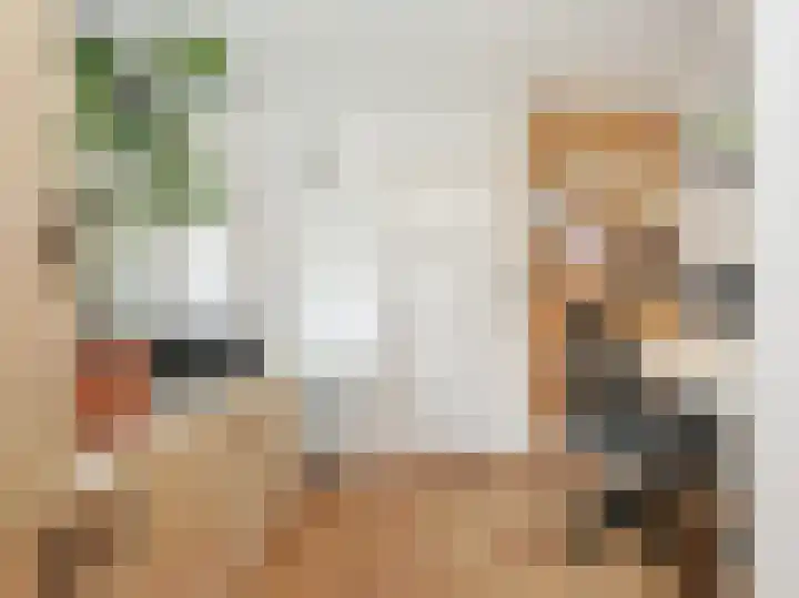 Alberdingk Thijmlaan 16 Heemstede thumbnail 27