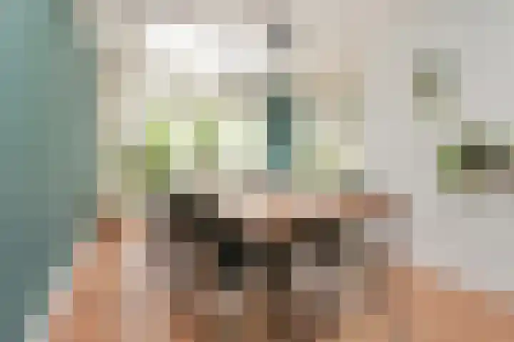 Alberdingk Thijmlaan 16 Heemstede thumbnail 29