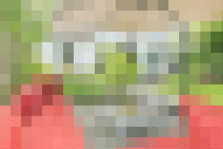 Alberdingk Thijmlaan 16 Heemstede thumbnail 35