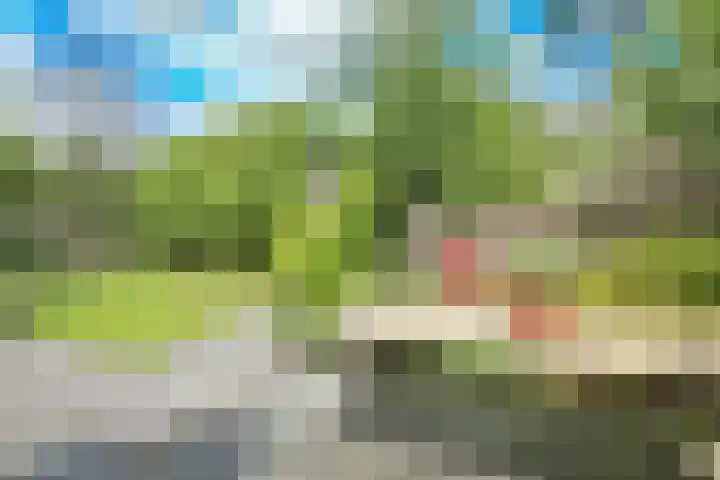 Alberdingk Thijmlaan 16 Heemstede thumbnail 36