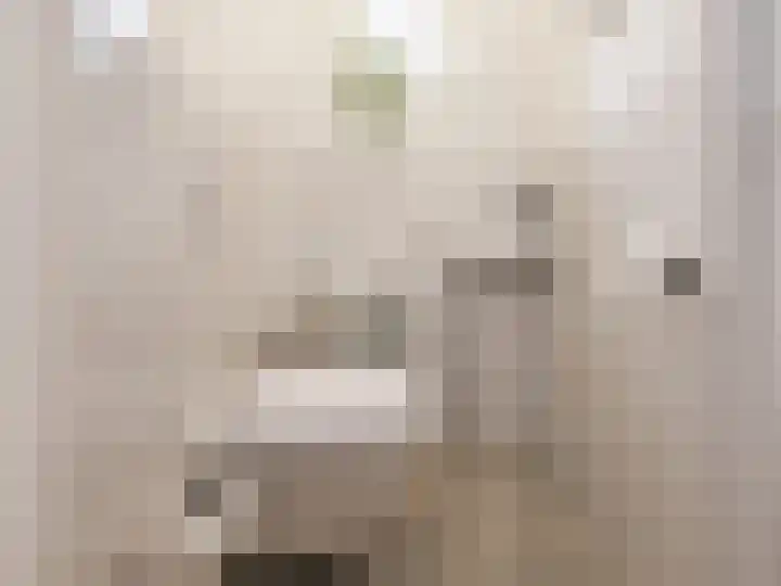 Alberdingk Thijmlaan 16 Heemstede thumbnail 42