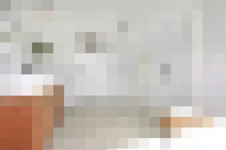 Alberdingk Thijmlaan 16 Heemstede thumbnail 49