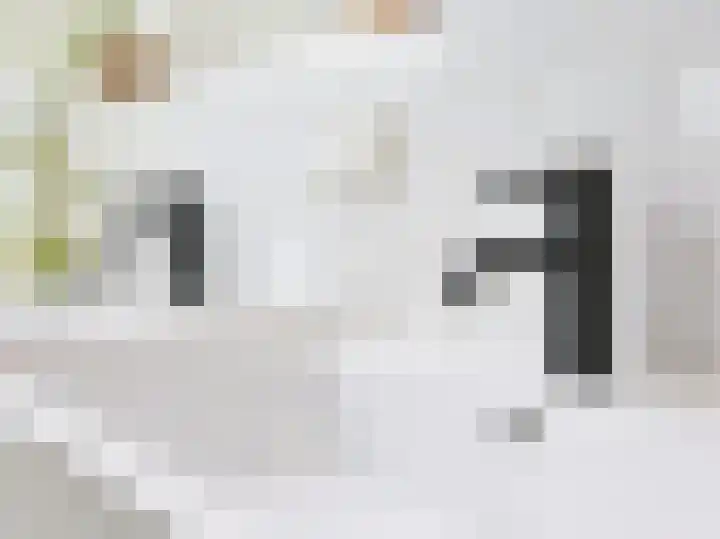 Alberdingk Thijmlaan 16 Heemstede thumbnail 51