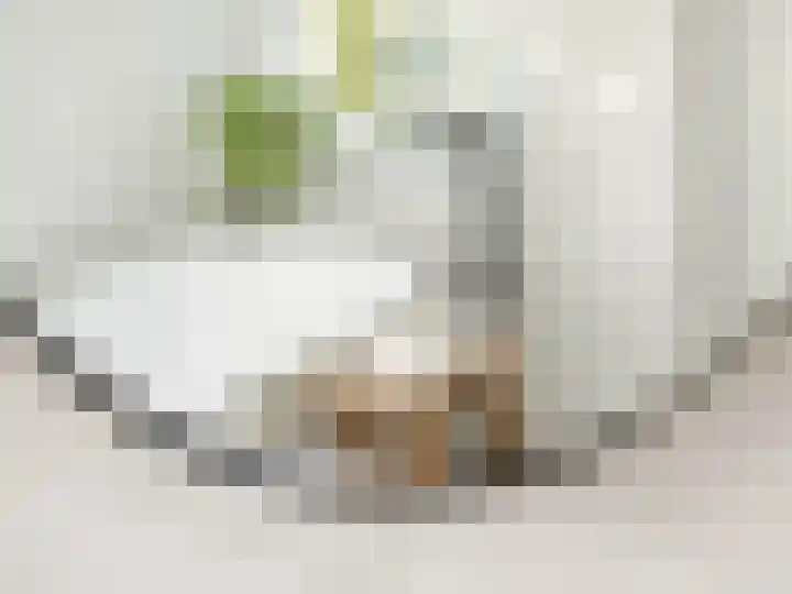 Alberdingk Thijmlaan 16 Heemstede thumbnail 54