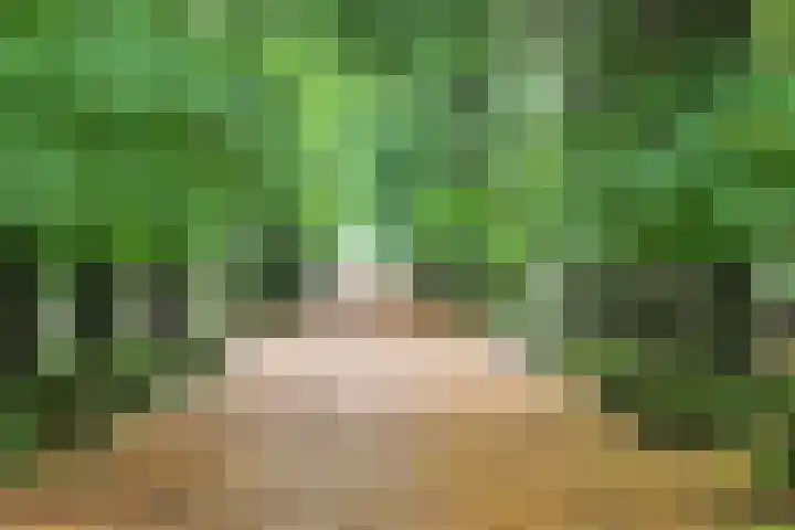 Alberdingk Thijmlaan 16 Heemstede thumbnail 74