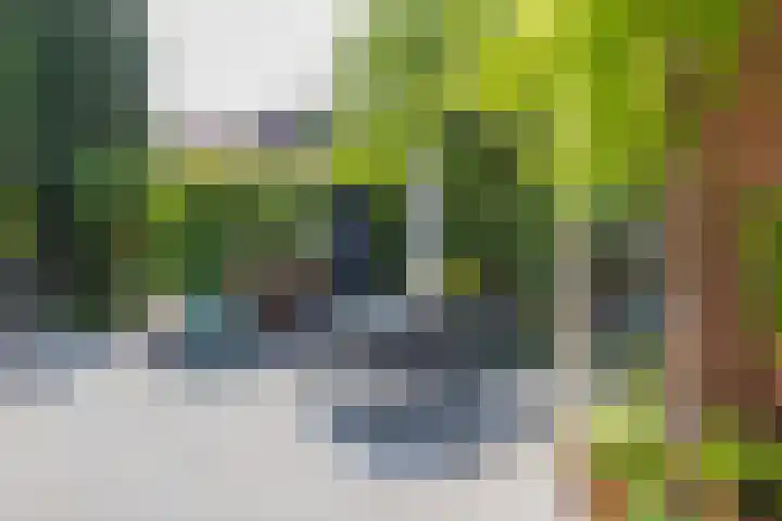 Alberdingk Thijmlaan 2 Heemstede thumbnail 21