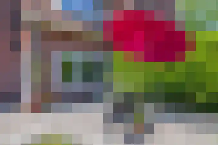 Alberdingk Thijmlaan 2 Heemstede thumbnail 25