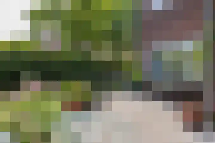 Alberdingk Thijmlaan 2 Heemstede thumbnail 26