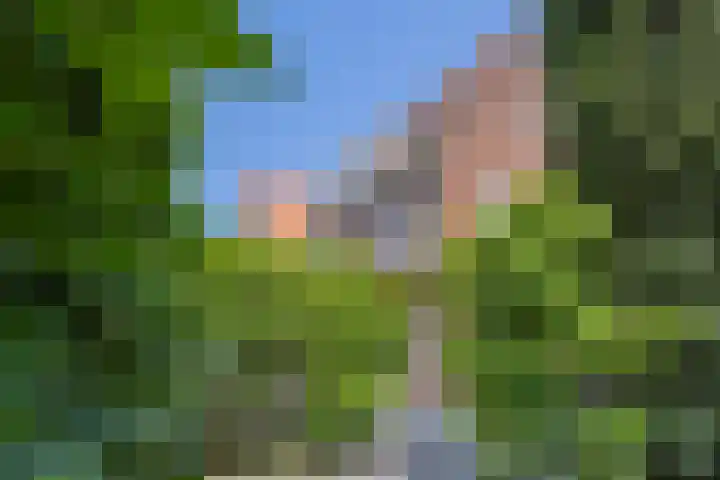 Alberdingk Thijmlaan 2 Heemstede thumbnail 49