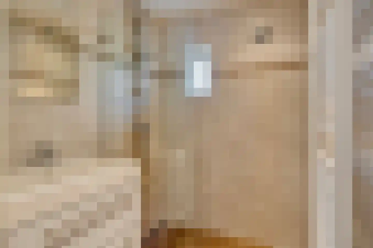 Alberdingk Thijmlaan 3 Geleen thumbnail 21
