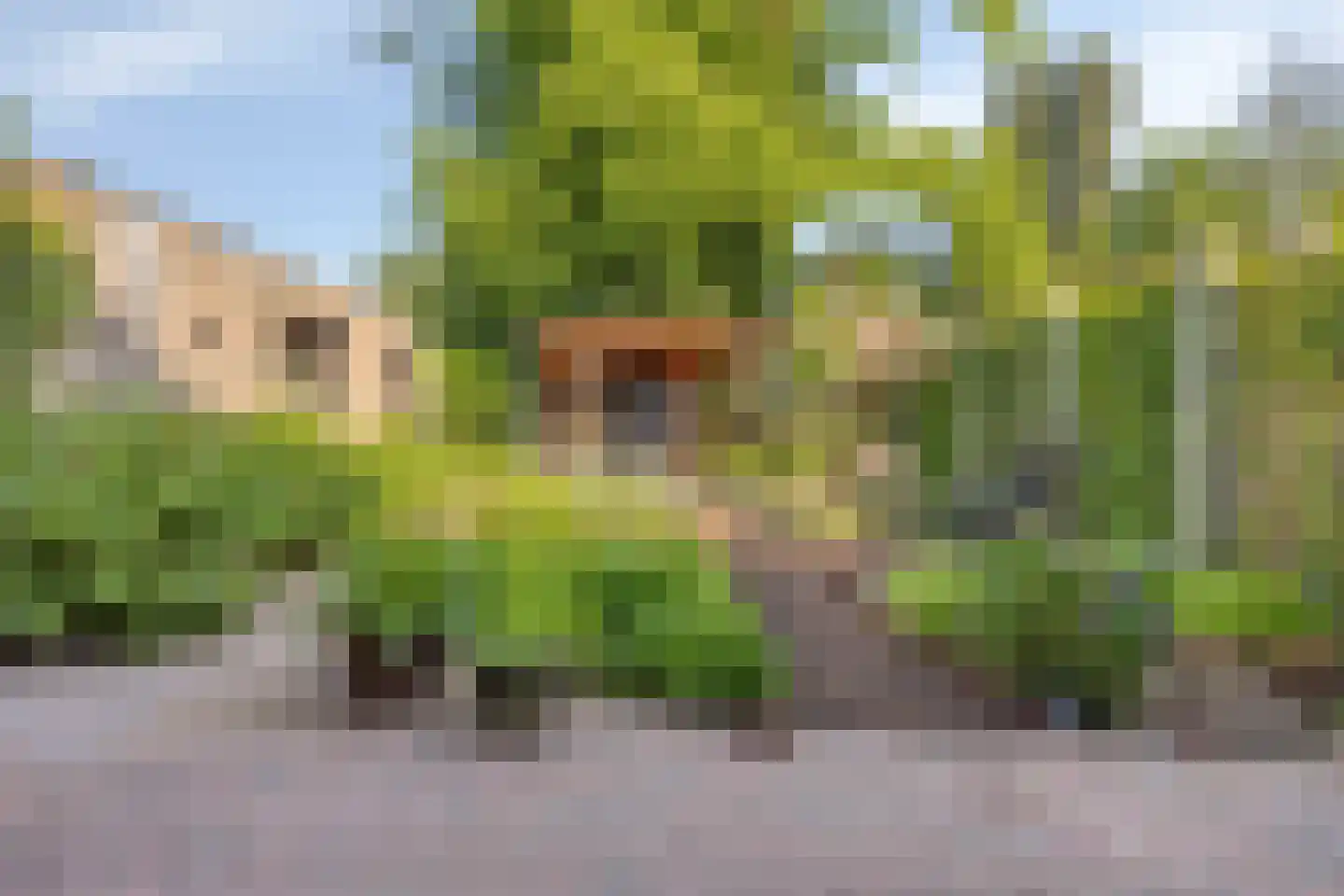 Alberdingk Thijmlaan 3 Geleen thumbnail 23