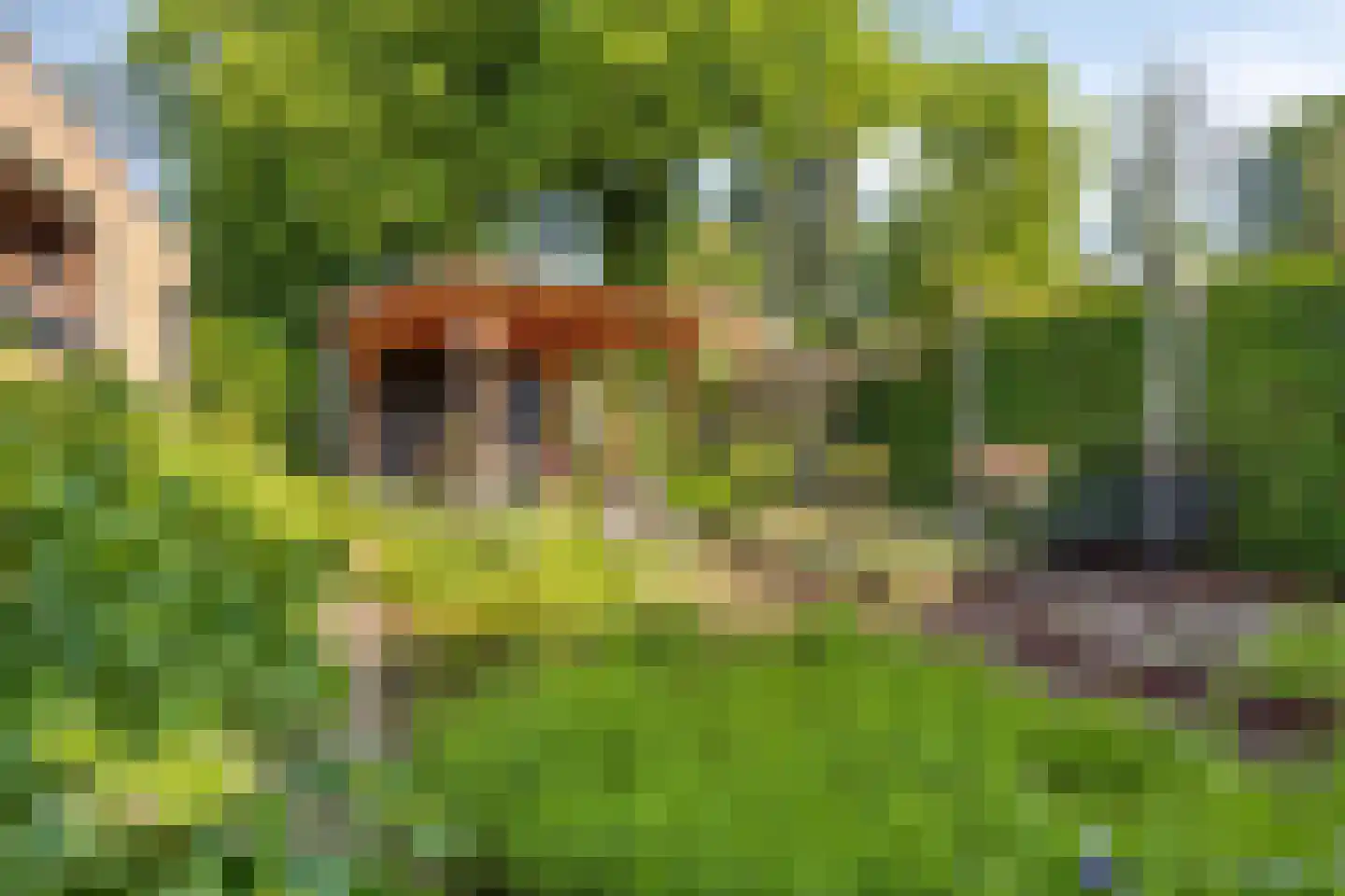 Alberdingk Thijmlaan 3 Geleen thumbnail 24