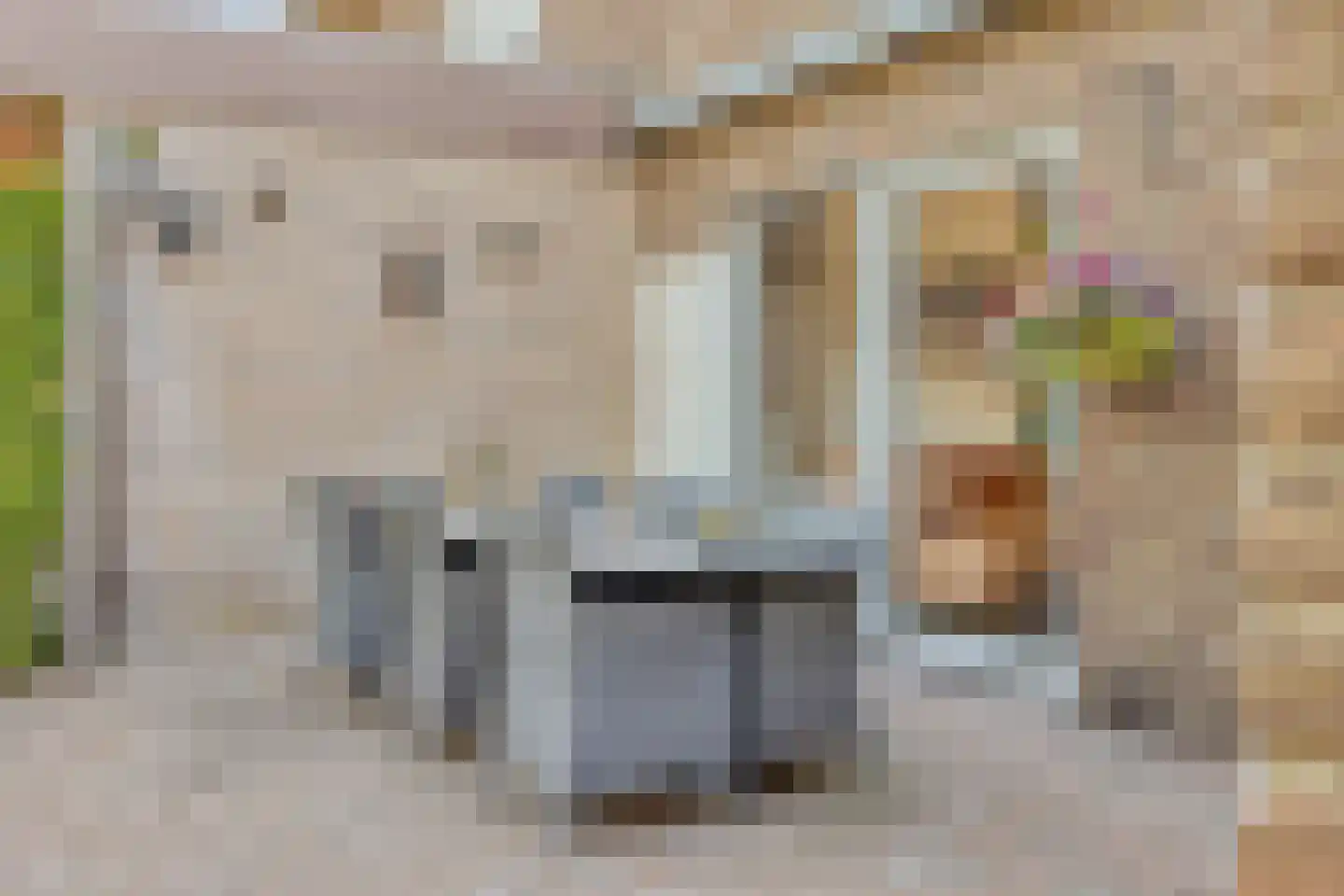 Alberdingk Thijmlaan 3 Geleen thumbnail 27