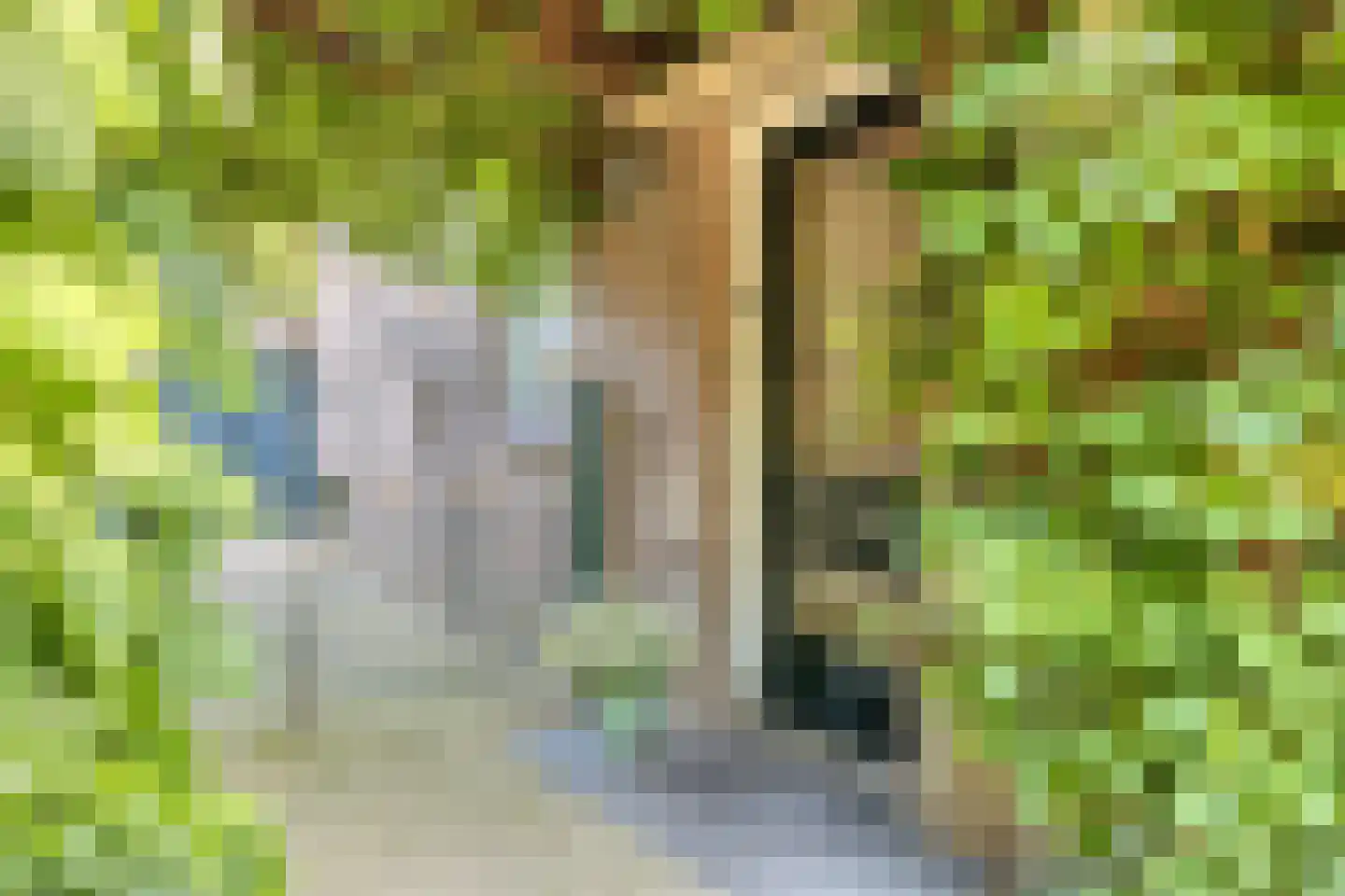 Alberdingk Thijmlaan 3 Geleen thumbnail 29
