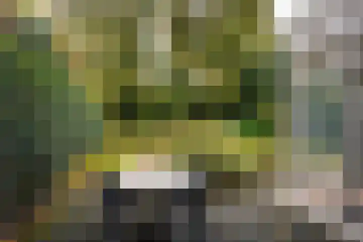 Alberdingk Thijmlaan 3 Heemstede thumbnail 47