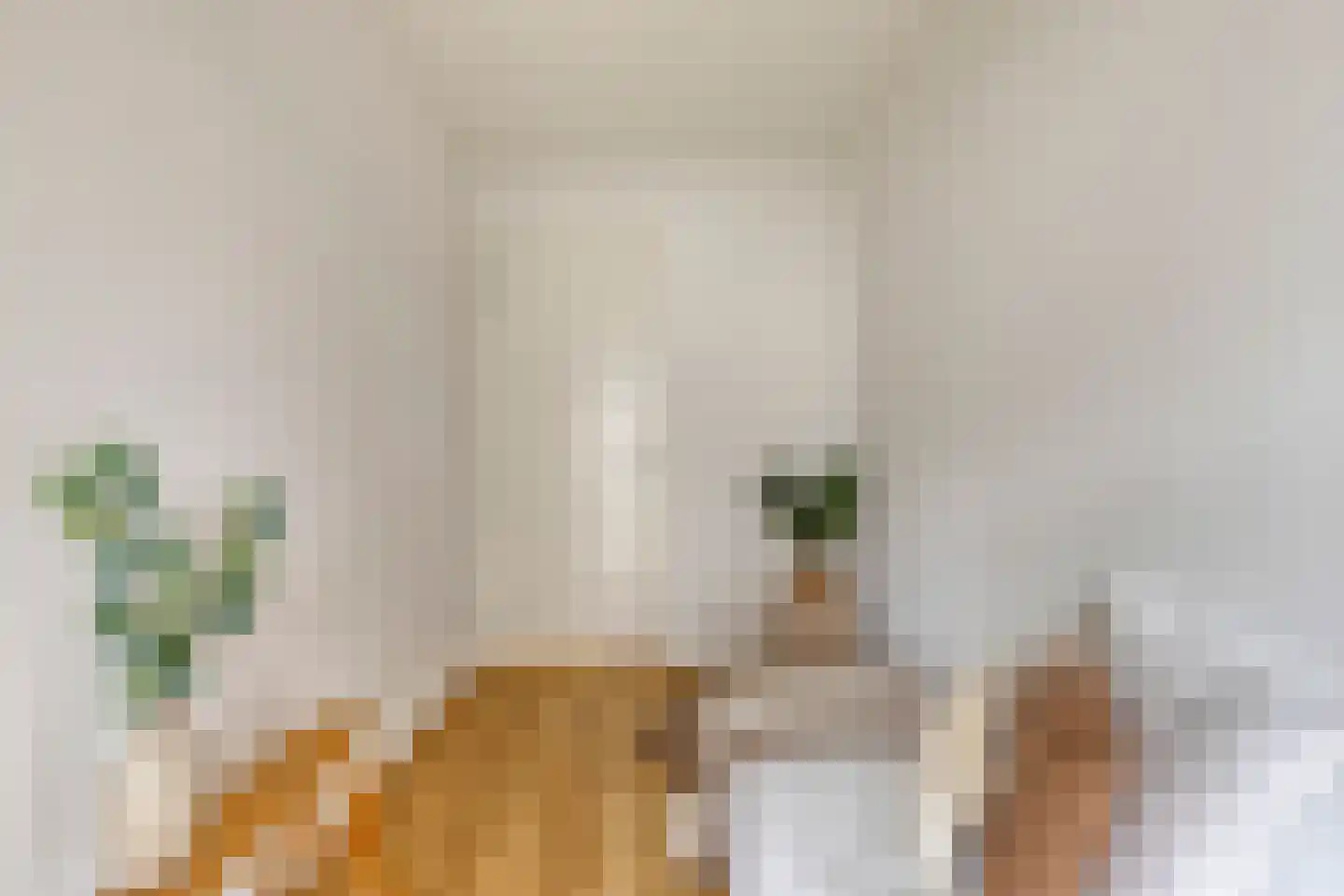 Alberdingk Thijmlaan 36 Eindhoven thumbnail 19