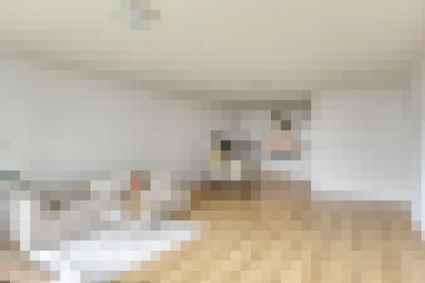 Alberdingk Thijmlaan 36 Eindhoven thumbnail 9