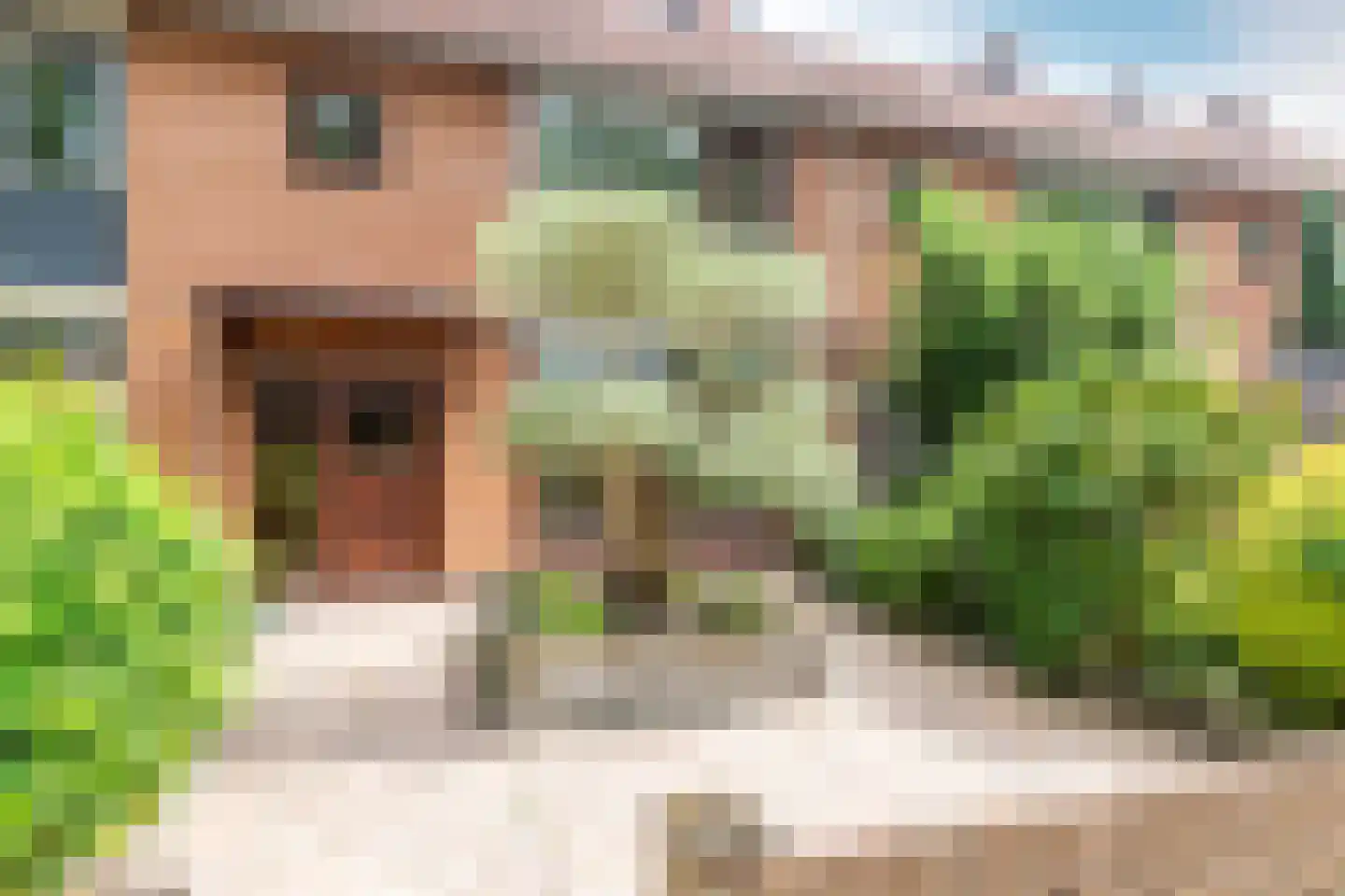 Alberdingk Thijmlaan 39 Harderwijk thumbnail 36