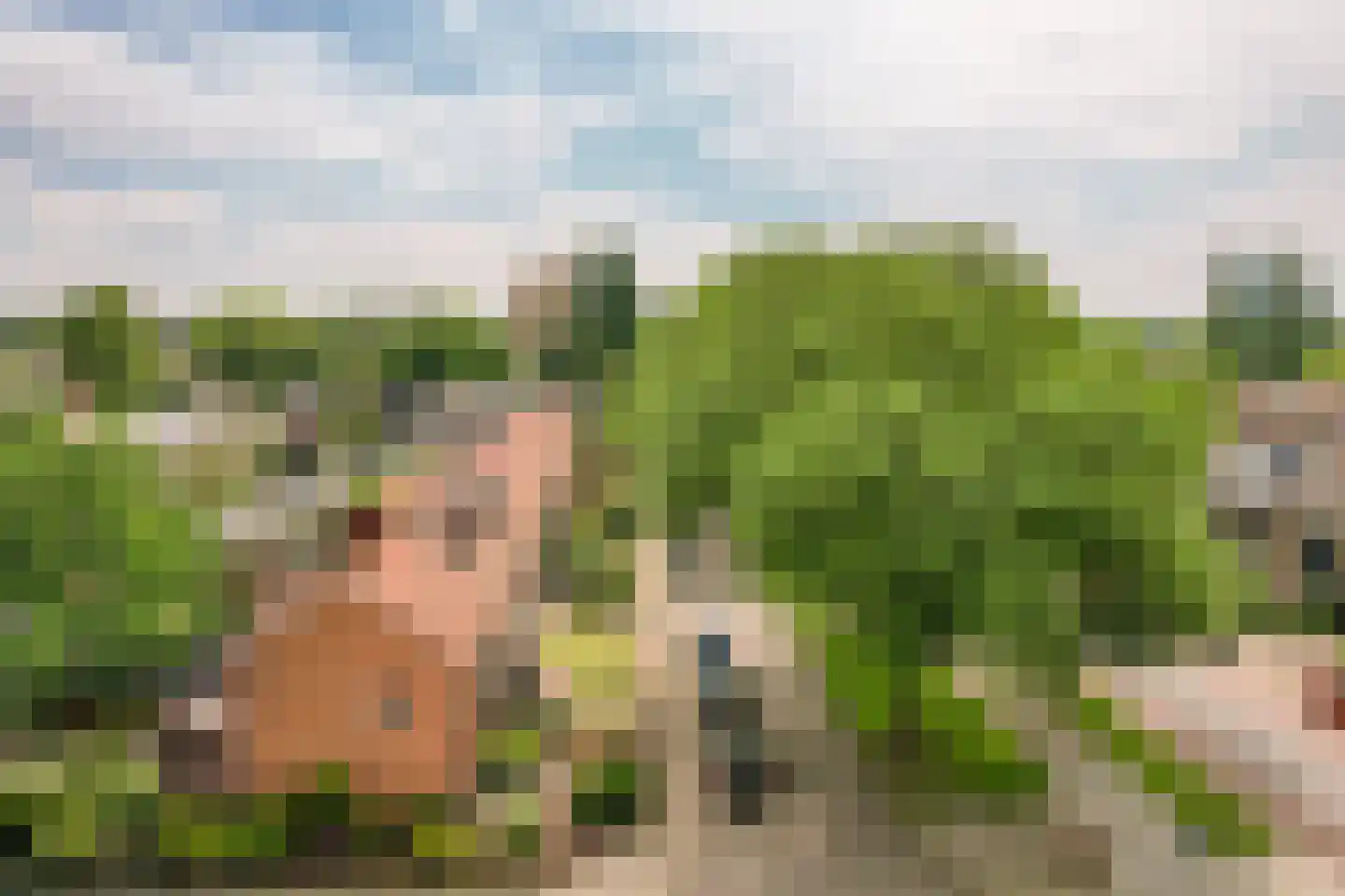 Alberdingk Thijmlaan 39 Harderwijk thumbnail 41