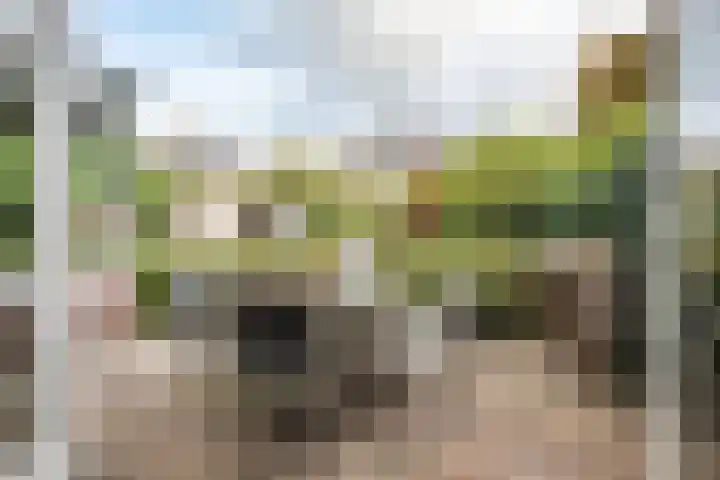 Alberdingk Thijmlaan 42 Heemstede thumbnail 16