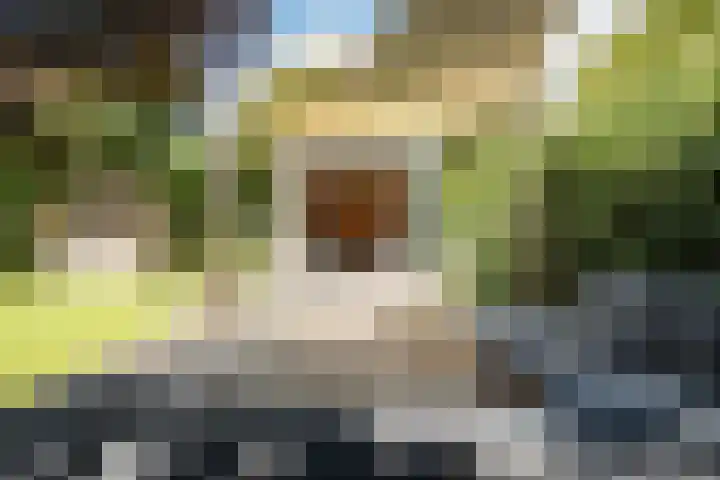 Alberdingk Thijmlaan 42 Heemstede thumbnail 29