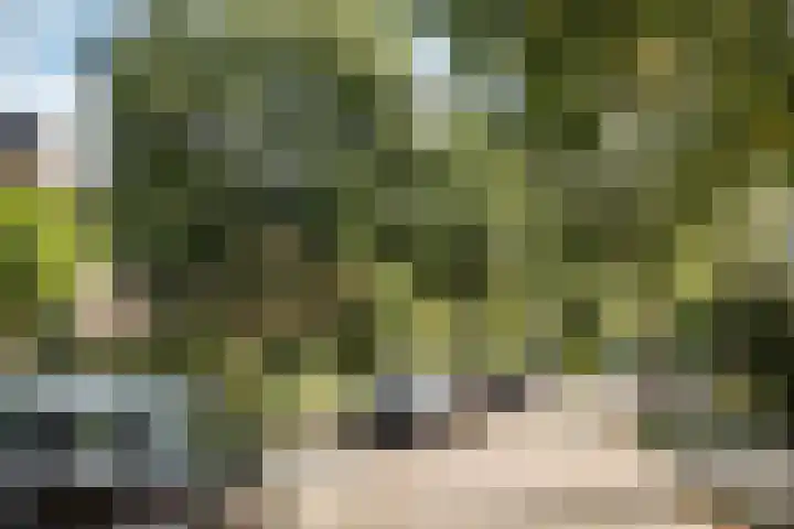 Alberdingk Thijmlaan 42 Heemstede thumbnail 50