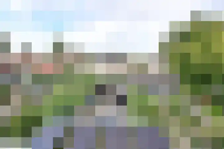Alberdingk Thijmlaan 46 Harderwijk thumbnail 22