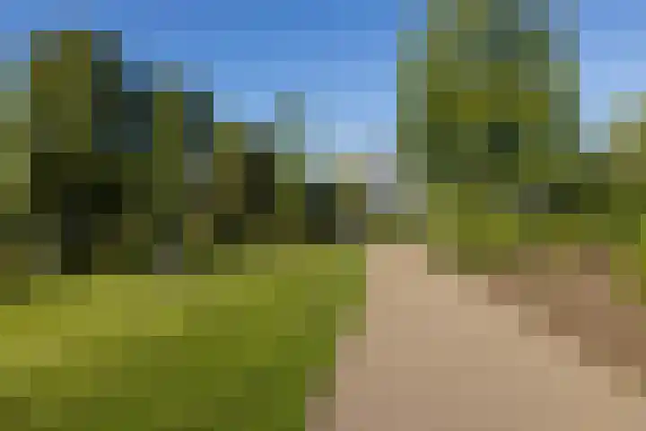 Alberdingk Thijmlaan 48 Eindhoven thumbnail 28