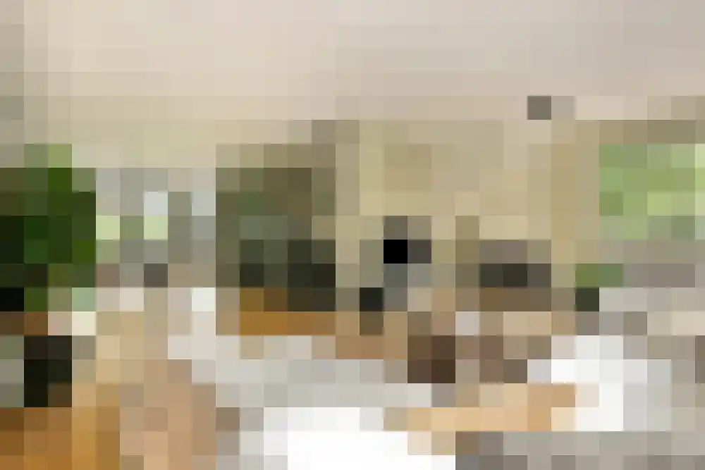 Alberdingk Thijmlaan 48 Heemstede thumbnail 12