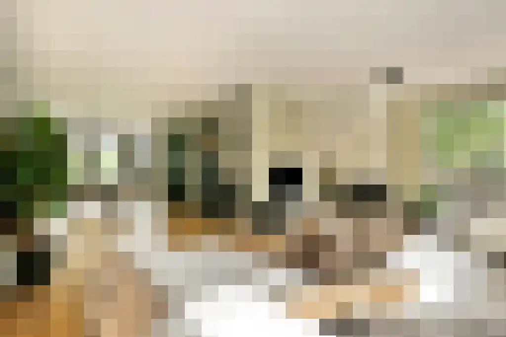 Alberdingk Thijmlaan 48 Heemstede thumbnail 5