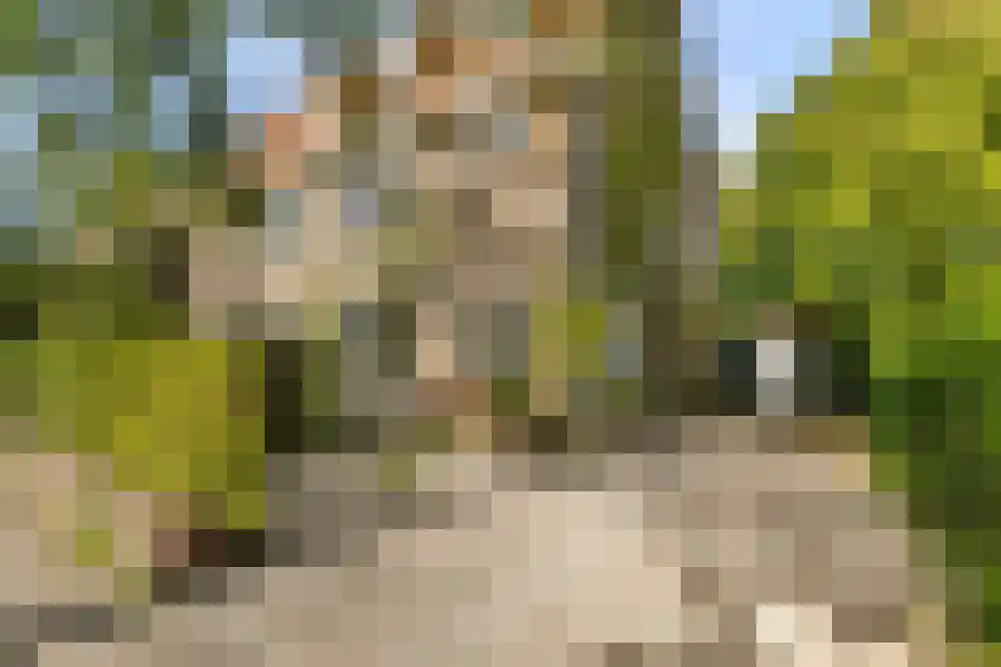 Alberdingk Thijmlaan 48 Heemstede thumbnail 8